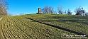 20230110_151510 - Dalla terra... il grano